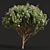 Zistrose & Coronilla 3D Flower Models 3D model small image 4