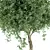Unique Tree No.20 Sculpture 3D model small image 2