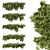 High-Quality Outdoor Bush Ivy Model 3D model small image 1