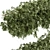 High-Quality Outdoor Bush Ivy Model 3D model small image 2
