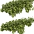 High-Quality Outdoor Bush Ivy Model 3D model small image 4