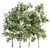 Arboreal Assortment 189 3D model small image 1