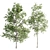 Arboreal Assortment 189 3D model small image 2