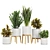 Modern Indoor Plant Set V5 3D model small image 6