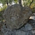 Bear Paw Stone 3D Model 3D model small image 7
