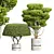 Concinna Bonsai Set, 3D Models 3D model small image 2