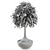 Elegant Beaucarnea 003 Display Piece 3D model small image 2
