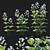 Prairie Penstemon 2017 Model Kit 3D model small image 1