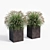 Modern Square Planters Set of 2 3D model small image 3