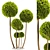 Elegant Cypress Pom Pom Topiary 3D model small image 1