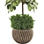 Rubber Plant FBX Collection Set 3D model small image 4