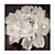 Art Archive Collection - Pictures 3D model small image 1