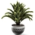 Russian Sago Palm Render Exquisite 3D model small image 1