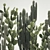 Desert Cacti Collection in Concrete Planters 3D model small image 2