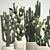 Desert Cacti Collection in Concrete Planters 3D model small image 4