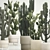 Desert Cacti Collection in Concrete Planters 3D model small image 5