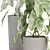 Greenery Selection 913 3D model small image 2