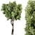 Sourwood Tree Set 161 3D model small image 1