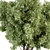 Sourwood Tree Set 161 3D model small image 2