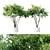  Stylish Indoor Plant Collection 3D model small image 1