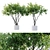  Stylish Indoor Plant Collection 3D model small image 2