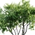  Stylish Indoor Plant Collection 3D model small image 3