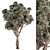 Japanese Cryptomeria Cypress Tree Set 3D model small image 1