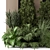  Outdoor Plants Bush Set 1405 3D model small image 3