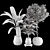 Plant Collection 84: 3D Models 3D model small image 7