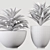 Song Of India Plant Set 3D model small image 5