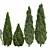 Mountain Juniper 3D Tree Models 3D model small image 1