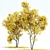 Real Fall Tree 3D Models 3D model small image 3