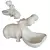 Title: Deco Hungry Hippo Figurine 3D model small image 2