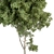 Sourwood Tree Set for Landscaping 3D model small image 2