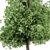 Sourwood - Set of Trees 3D model small image 2