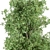 Sourwood - Set of Trees 3D model small image 3