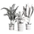 Variety Indoor Plants Collection 25 3D model small image 12