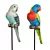 Colorful Parrot Figurine Set 3D model small image 2