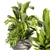 Premium Plant Collection - Banana & Palm 3D model small image 3