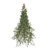 Premium White Fir Tree Model 3D model small image 4