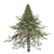 Premium White Fir Tree Model 3D model small image 5