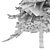 Premium White Fir Tree Model 3D model small image 6