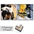 Art Set with Varied Frames 3D model small image 1