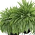 Exotic Plants Collection 916 Grande 3D model small image 2