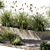 Lush Outdoor Plant Collection 15 3D model small image 4