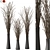 Modern Metal Decorative Branch Display 3D model small image 1