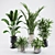 Vibrant Plants Collection Pack 3D model small image 1