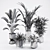 Vibrant Plants Collection Pack 3D model small image 2