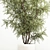 Modern Olive Tree in Concrete Planter 3D model small image 3