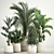 Tropical Plant Collection Ensemble 3D model small image 1